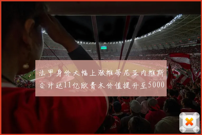 法甲身价大幅上涨维蒂尼亚内维斯合计达11亿欧青木价值提升至5000万