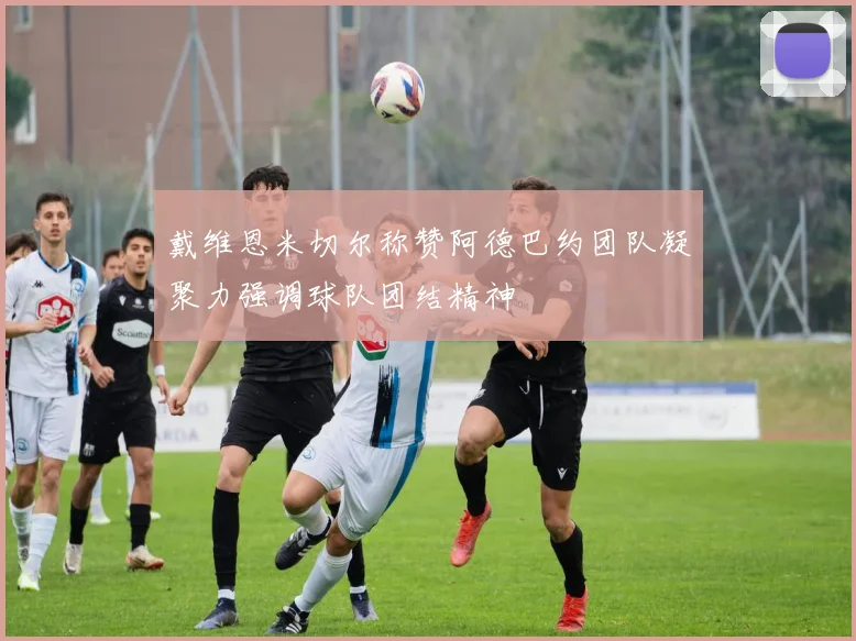 戴维恩米切尔称赞阿德巴约团队凝聚力强调球队团结精神