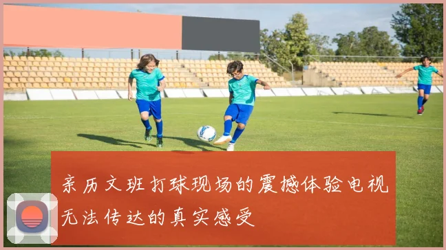 亲历文班打球现场的震撼体验电视无法传达的真实感受