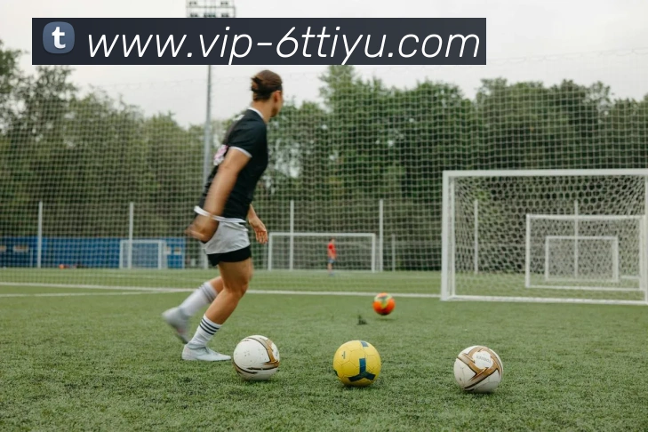 6T体育品牌故事