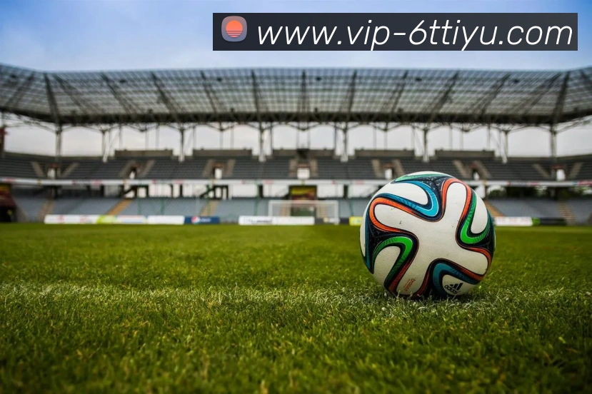 6T体育服务体系